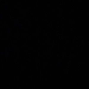 Meet your Posher, Diego